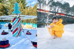 이월드, 22일 눈썰매장 ‘스노우월드’ 개장