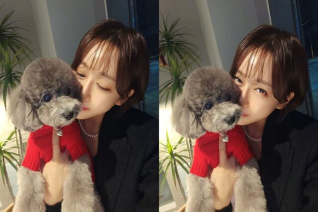 한영, 반려견 ‘오월이’와의 사랑스러운 투 샷…”엄마가 잘 나온 걸로 골랐어”