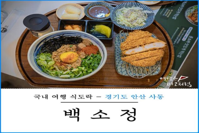 안산 사동 맛집 백소정 안산한양대점 마제소바 돈카츠 추천