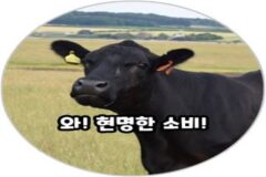2023년에도 ‘검은소’가 된 게임기자들의 사연