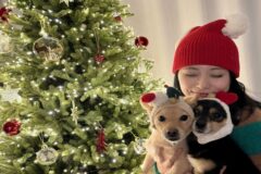 트와이스 쯔위, 반려견 ‘카야♥버터’와 트리 옆에서 찰칵!…”따뜻하고 행복하게 보내길”
