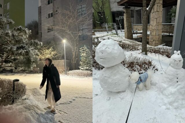 정채연, 반려견 ‘양치’와 즐긴 눈길 산책…”눈이 펑펑 내린”