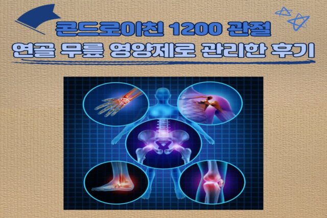 콘드로이친 1200 관절 연골 무릎 영양제로 관리하는 방법