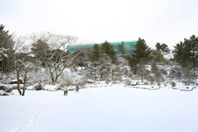 WE호텔제주, 감사의 마음 가득 10주년 패키지 선봬