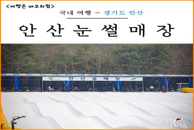 안산 근교 드라이브 코스 놀거리 아이와가볼만한곳 안산눈썰매장 개장 가격 후기