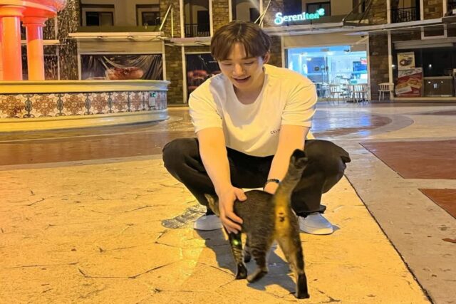 이준호, 길에서 만난 고양이 쓰담쓰담하며 찰칵!…”행복한 일만 가득한 해가 되길”