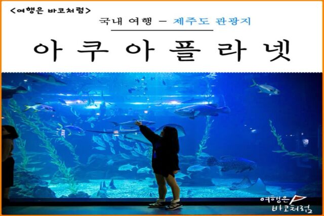 제주도 실내 유명 관광지 아쿠아플라넷 제주 할인 가격 후기 추천