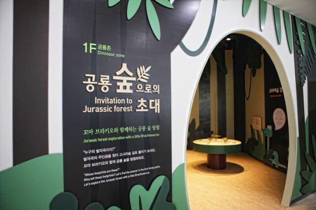 경기도 아이와 가볼만한곳 경기 북부 어린이 박물관 정보 입장료