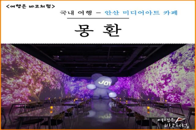 안산 호수공원 근처 갈만한곳 안산 대형 미디어아트 카페 몽환 추천