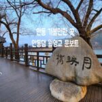 경상도 여행지 추천 안동댐 월영교 문보트:: 안동 가볼만한 곳