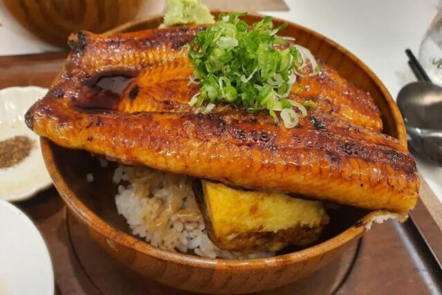 추운 날씨! 원기회복을 원한다면 장어 맛집 BEST5