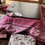“밖보다 집이 더 추워” 일본 집 유난히 추운 이유는 따로 있었다