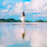 ‘제주도민도 몰랐다’ 제주 동쪽 숨겨진 연못의 실제 모습(+영상)