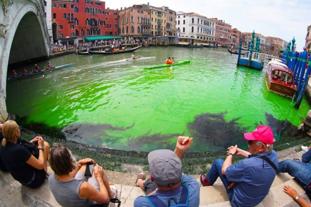 전날만 해도 멀쩡했는데…. 온통 ‘녹색’으로 변했다는 베네치아 현 상황