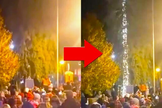 현재 캐나다 크리스마스 트리가 전세계에서 조롱 당하고 있는 이유