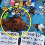 깨끗하기로 소문 난 일본 대표산이 “전세계에서 가장 더럽다” 말 나온 이유