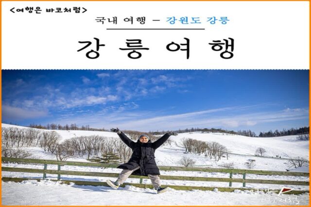 겨울 강릉 당일치기 여행 양떼목장, 강릉 시내 중앙시장 장칼국수, 강릉 안목해변 카페거리 저녁식사 횟집 강릉 사천진 해변 일출까지 알찬 여행 코스