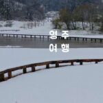 영주 가볼만한 곳 무섬마을 외나무다리