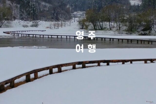 영주 가볼만한 곳 무섬마을 외나무다리
