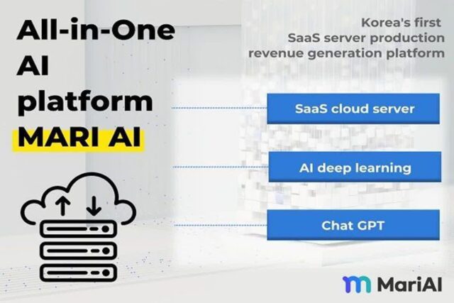 마리 AI, 클라우드 서버 임대 서비스로 2024 AI 개발 본격화
