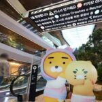카카오 컨트롤타워 ‘CA협의체’ 총괄대표 선임…황태선 쇄신위원