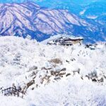 겨울에만 볼 수 있는 풍경 “오직 이곳에서 찍을 수 있는 사진이죠”
