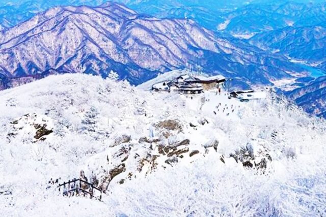 겨울에만 볼 수 있는 풍경 “오직 이곳에서 찍을 수 있는 사진이죠”