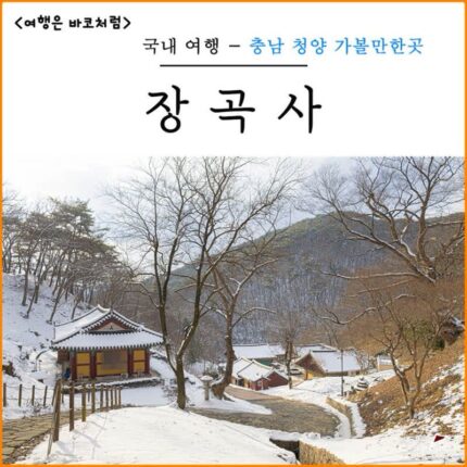 청양 가볼만한곳 장곡사 나들이 칠갑산 등산코스 탐방로 산책