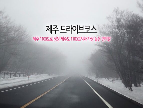 제주 드라이브코스 제주 1100도로 정상 제주도 1100고지습지와 가장 높은 편의점