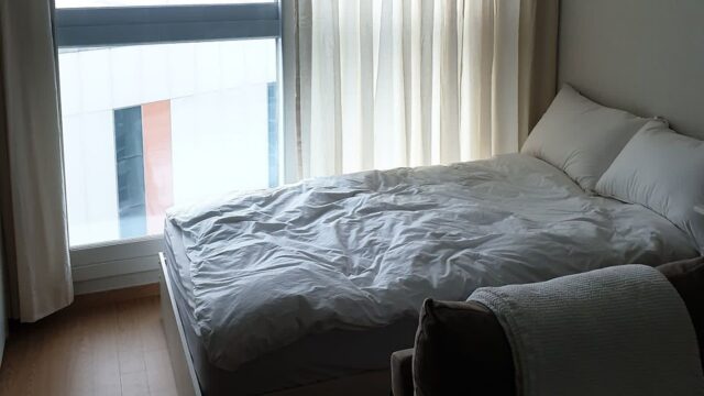 남향만 좋다고? 그늘진 북향집에서 시작한 식물 집사의 길