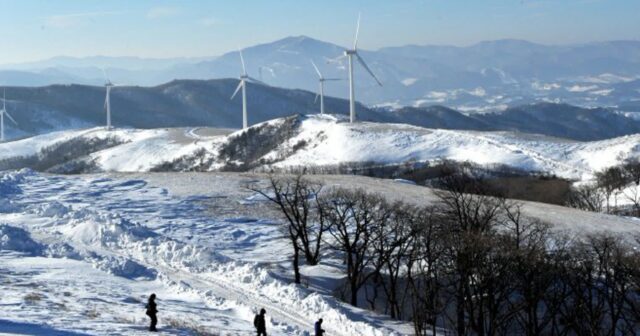 강원도 겨울여행지, 눈꽃트레킹 평창 선자령 등산코스 난이도 소요시간