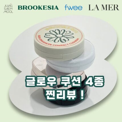 건조한 겨울 뷰티 필수템, 글로우 쿠션 4종 찐리뷰!