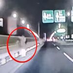“귀신 본 줄…김포 아라대교에서 누군가 ‘중앙분리대’ 넘고 있습니다”