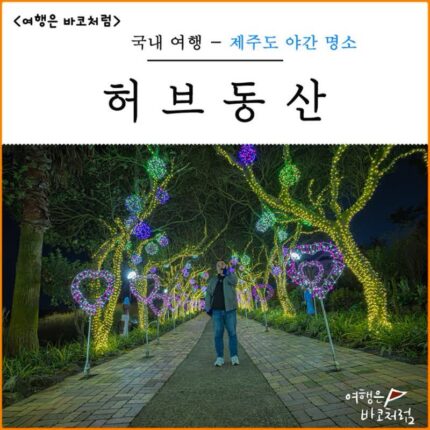 제주도 야간 명소 제주 허브동산 족욕체험 야경 별빛놀이 관람