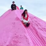 “해외냐고요?” 핑크 모래 언덕에서 썰매 탈 수 있는 한국입니다.