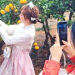 한때 큰손이었는데…. 요즘 중국인들이 3박 4일 동안 제주도 오면 쓰는 돈