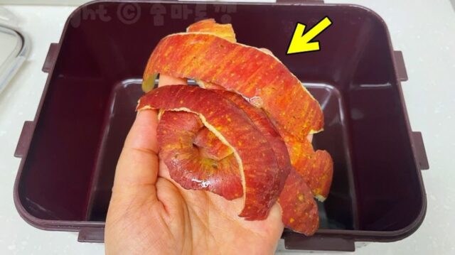 버리려던 ‘사과껍질’ 김치통에 넣었더니!?효과에 깜놀~