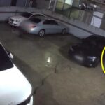 몸 부서져라 일해 산 ‘첫 차’… 3개월 만에 ‘괴한’에게 당했습니다.