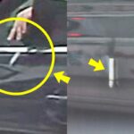 도로에 꽁초 버린 몰상식 운전자.. 셀프 참교육 최후에 네티즌 ‘폭소’