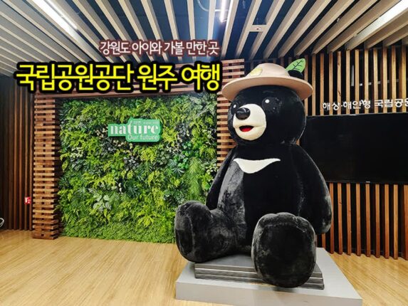 강원도 아이와 가볼 만한 곳 국립공원공단 원주 여행