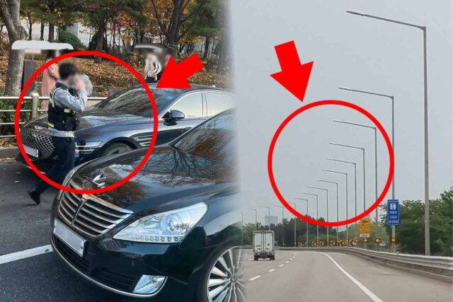 “지금 봤죠? 빨리 피하세요!” 앞으로 도로에 운전자들 환호할 ‘이것’ 설치