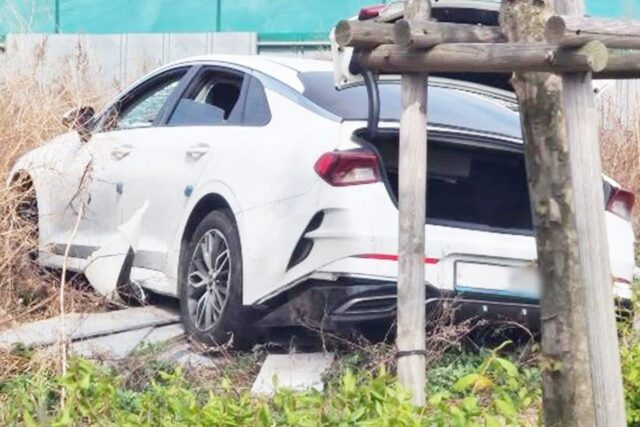갓 딴 면허도 가능?.. ‘이 규정’ 삭제한다는 쏘카, 도로 위 핵폭탄 예고