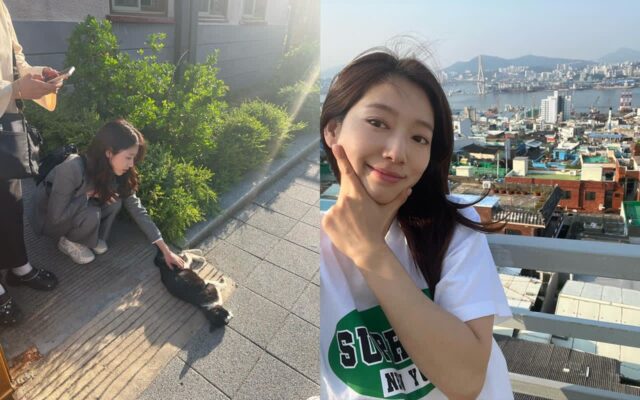 박신혜, 드라마 촬영 중 만난 고양이와 찰칵!…”더웠더랬지”