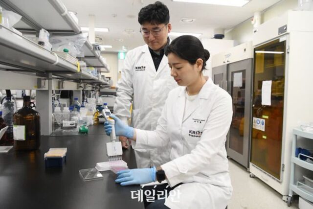 “나노물질 인체 독성 정밀하게 평가”…오가노이드 배양법 개발