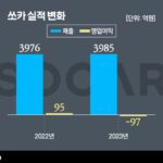 ‘숨고르기’ 쏘카…이유 있는 적자전환