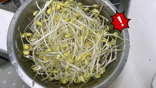 ‘콩나물’ 삶을 때, 헉~이제껏 잘못 알고 있었네!?