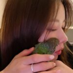 박하나, 반려조 ‘랍이’와의 행복한 일상 공개…”우리 꼬물이”