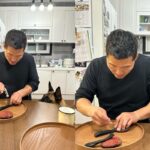 강형욱 훈련사, 반려견 ‘매직이’ 장난감 봉합 수술(?) 중 “내가 바느질을 할 줄이야..”