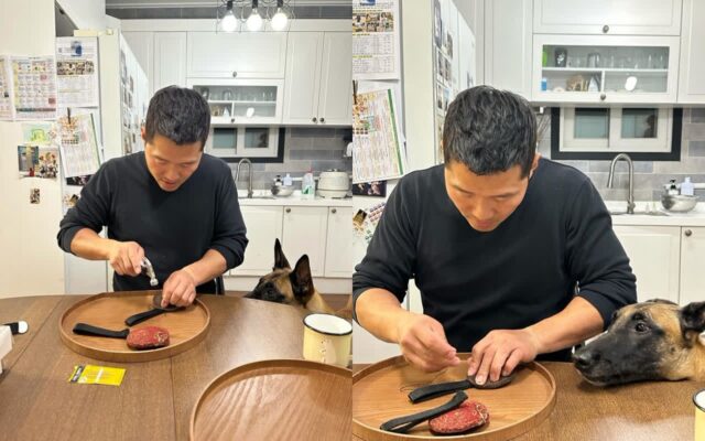 강형욱 훈련사, 반려견 ‘매직이’ 장난감 봉합 수술(?) 중 “내가 바느질을 할 줄이야..”