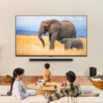 LG전자, AI 성능 강화한 2024년형 LG 올레드·QNED TV 출시